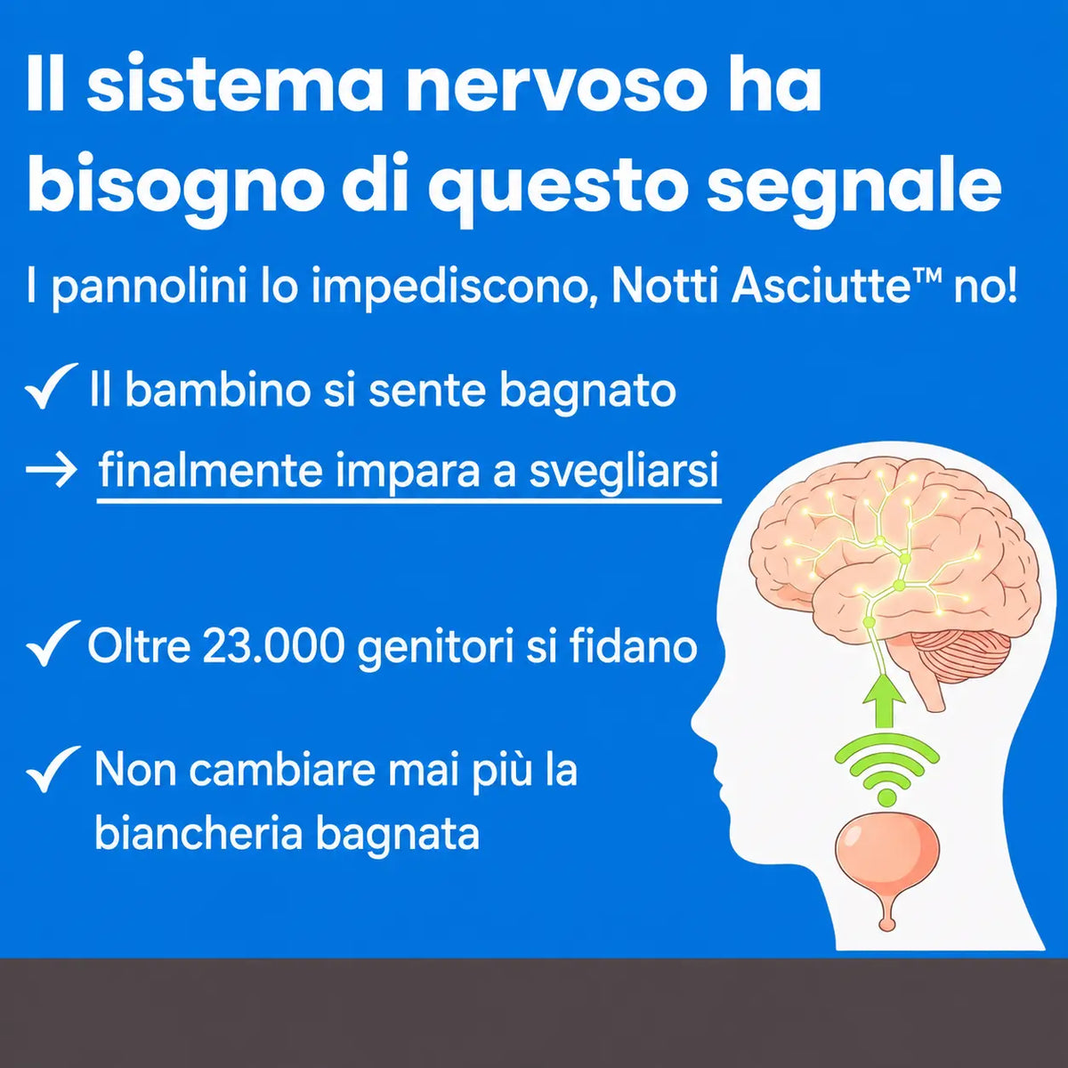 Notti Asciutte - Protezione Premium per Materassi